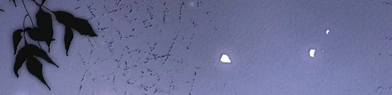 Kế Hoạch Tự Dưỡng Cuồng Khuyển Chap 104 - Next Chap 105