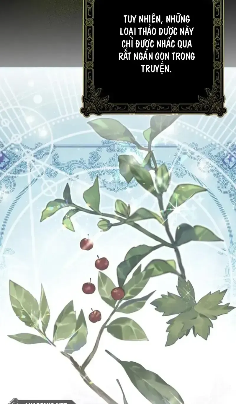 Kẻ Mạnh Nhất Thế Giới Ám Ảnh Tôi Chap 31 - Next Chap 32