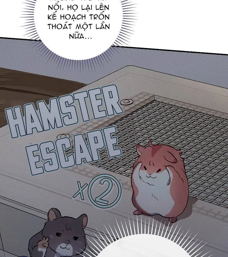 Kẻ Phán Quyết - Ending Maker Chap 48 - Next Chap 49