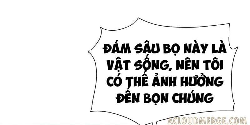 Kẻ Tàn Nhẫn Ngày Tận Thế: Bắt Đầu Dự Trữ Hàng Tỷ Tấn Vật Tư Chap 75 - Next Chap 76