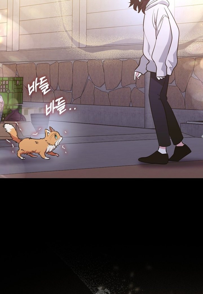 Kẻ Trộm Bóng Đêm Và Cuộc Hôn Nhân Giả Với Điều Tra Viên Chap 2 - Next Chap 3