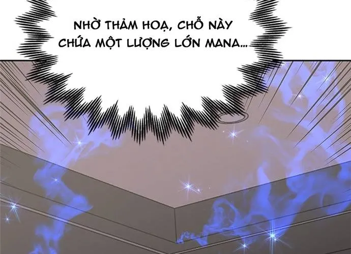 Kể Từ Bây Giờ, Tôi Là Một Người Chơi Chap 141 - Next Chap 142