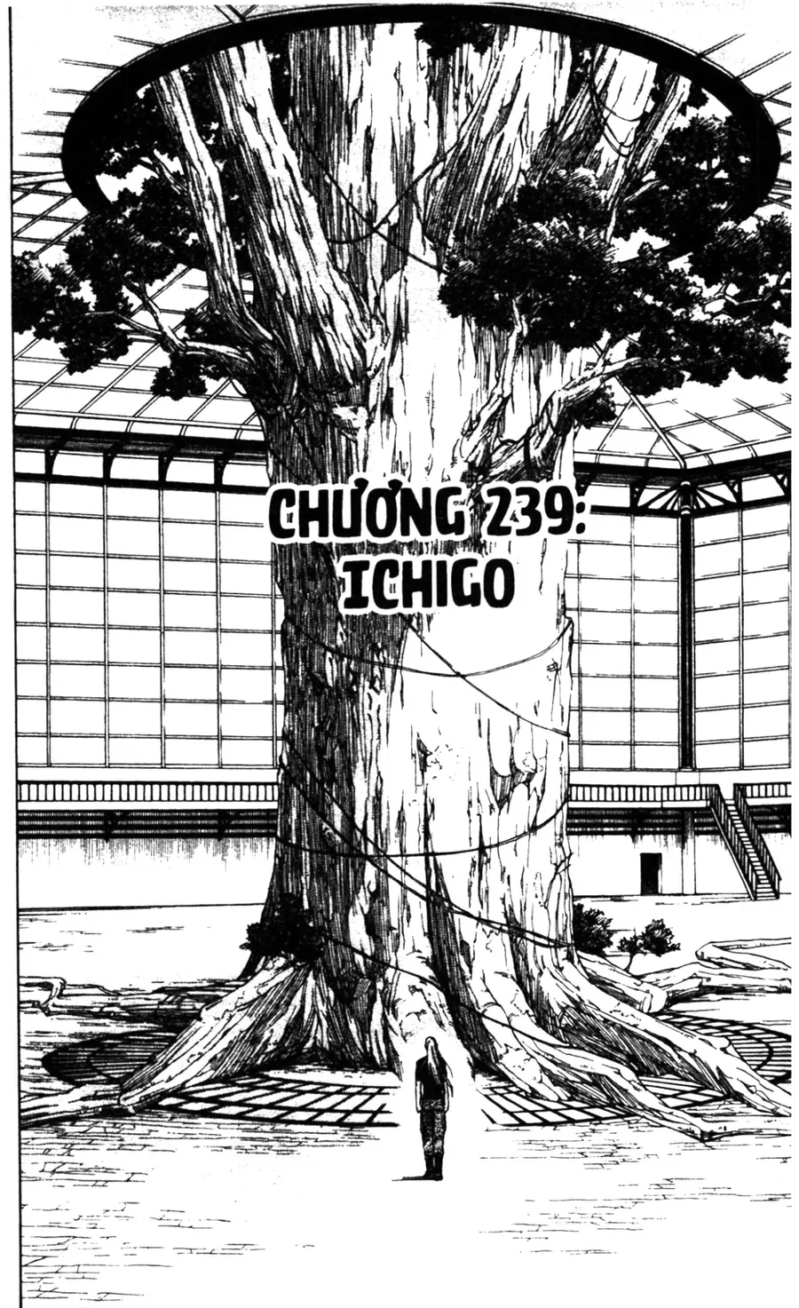 Kết Giới Sư Chap 239 - Next Chap 240