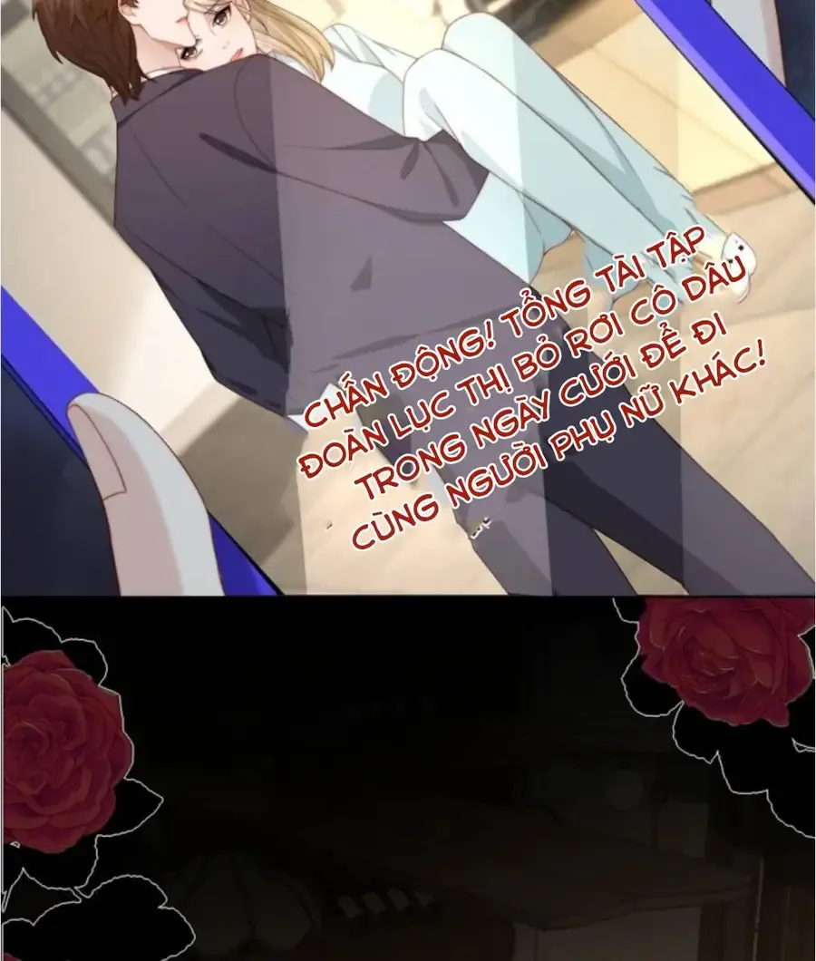 Kết Hôn Với Đại Lão Thực Vật Chap 84 - Next Chap 85