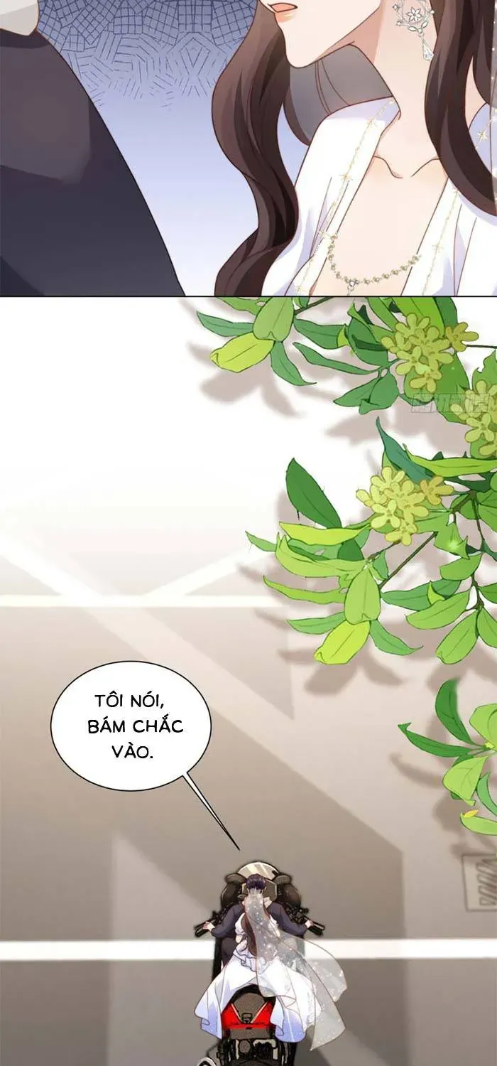 Kết Hôn Với Đại Lão Thực Vật Chap 85 - Next Chap 86