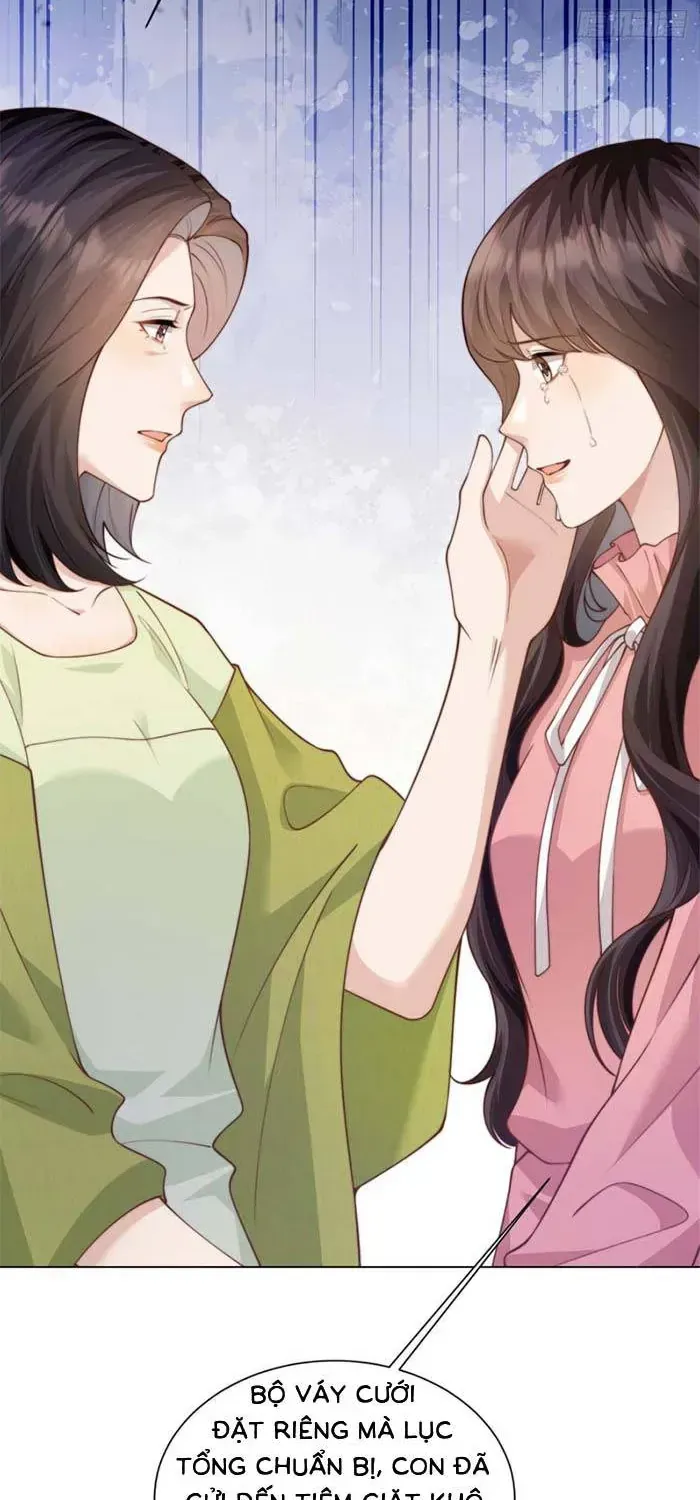 Kết Hôn Với Đại Lão Thực Vật Chap 85 - Next Chap 86