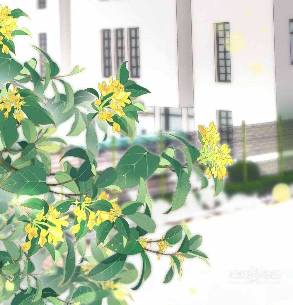 Khảo Nghiệm Cuối Cùng Của Tra Nữ Chap 13 - Next Chap 14