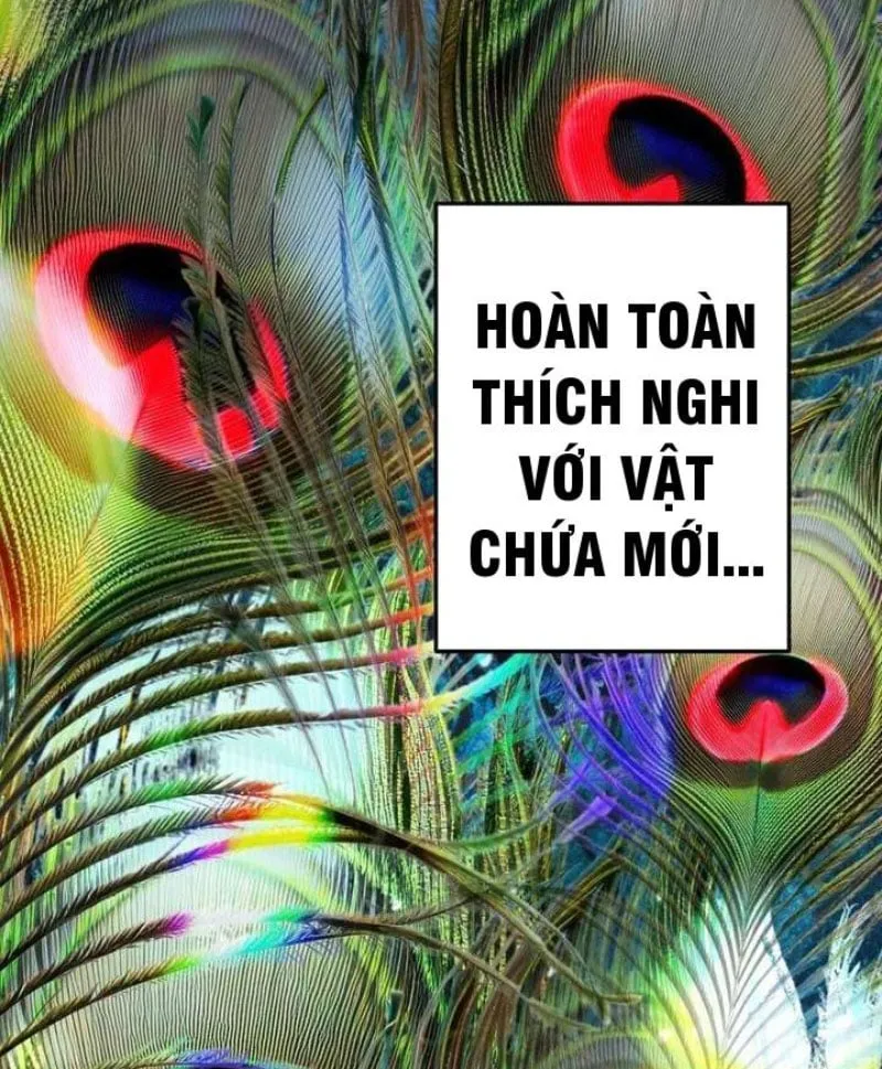 Khế Ước Của Ta Biến Thành Truyền Thuyết Ma Quái Chap 1 - Next Chap 2