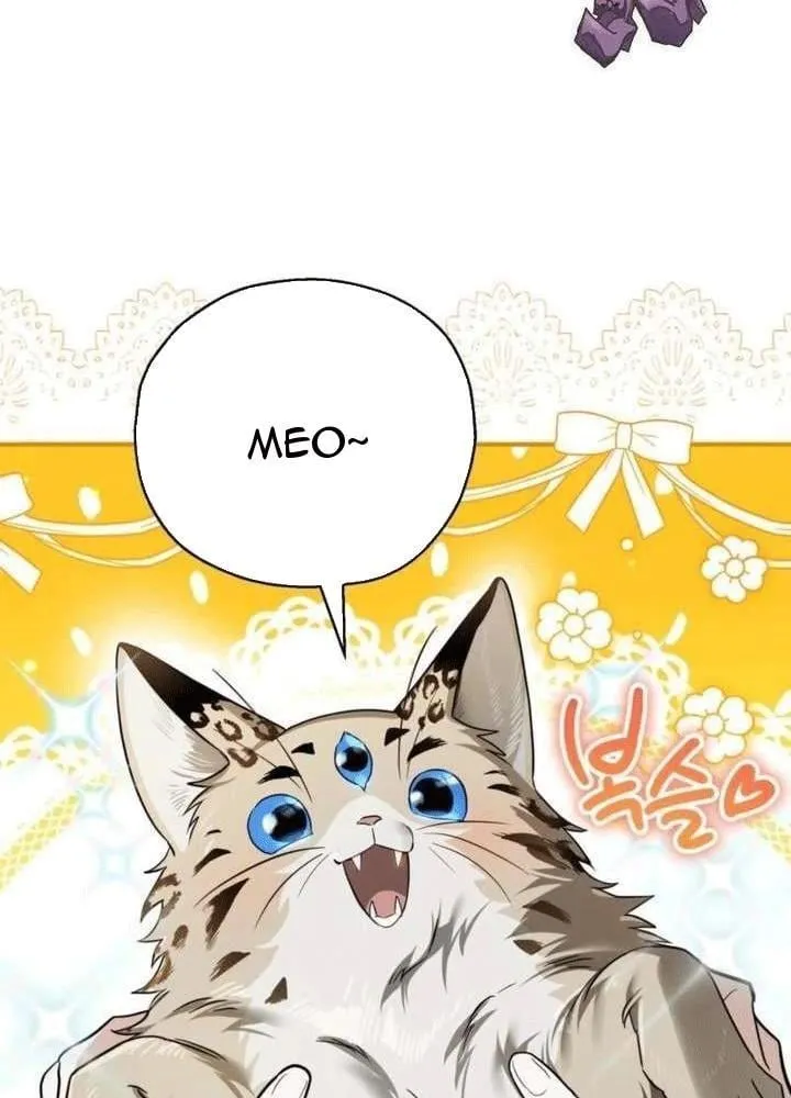 Khế Ước Của Ta Biến Thành Truyền Thuyết Ma Quái Chap 3 - Next Chap 4