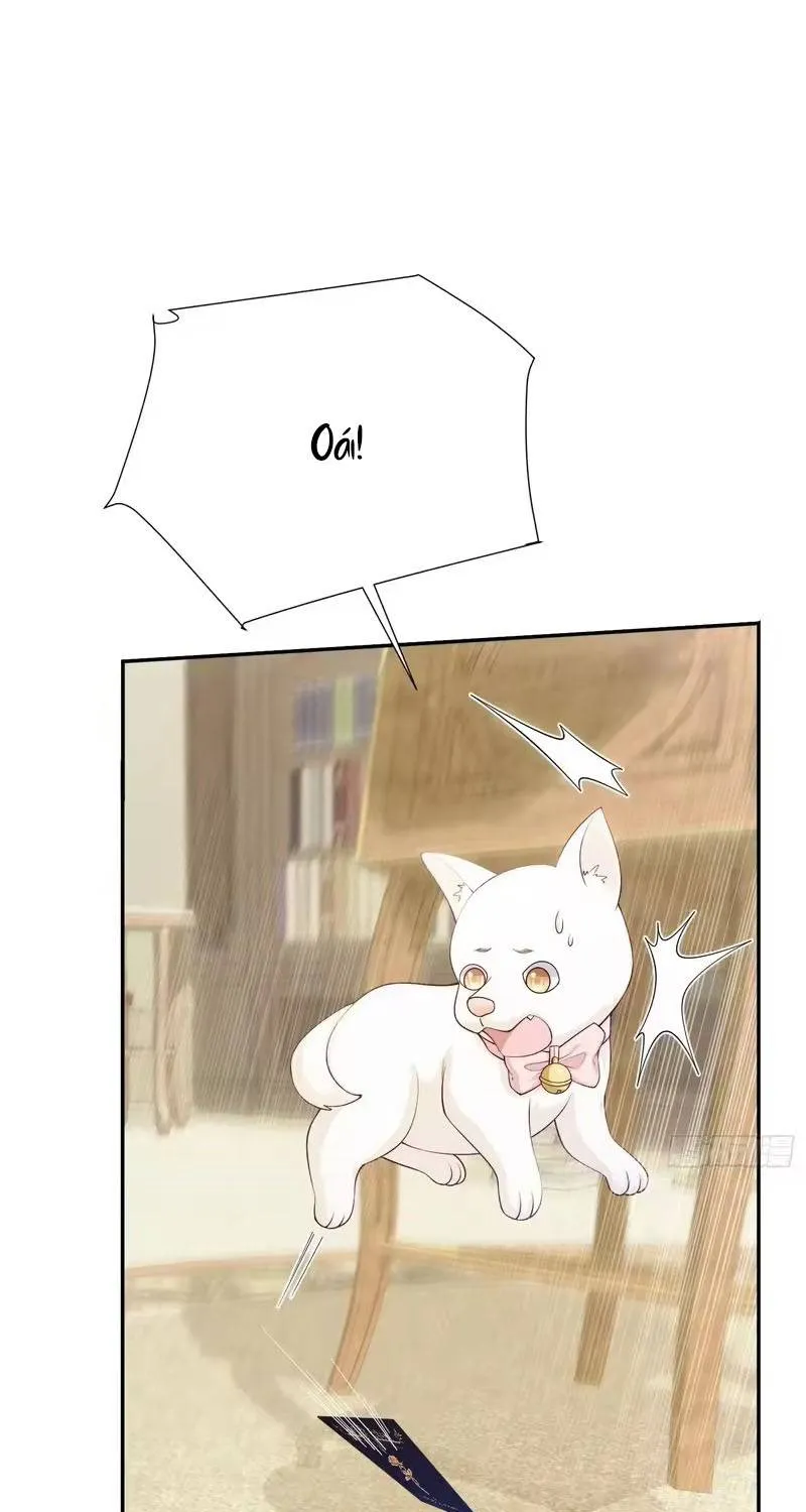 Khi Mới 3 tuổi, Tôi Trở Thành Nữ Vương Chap 10 - Next Chap 11