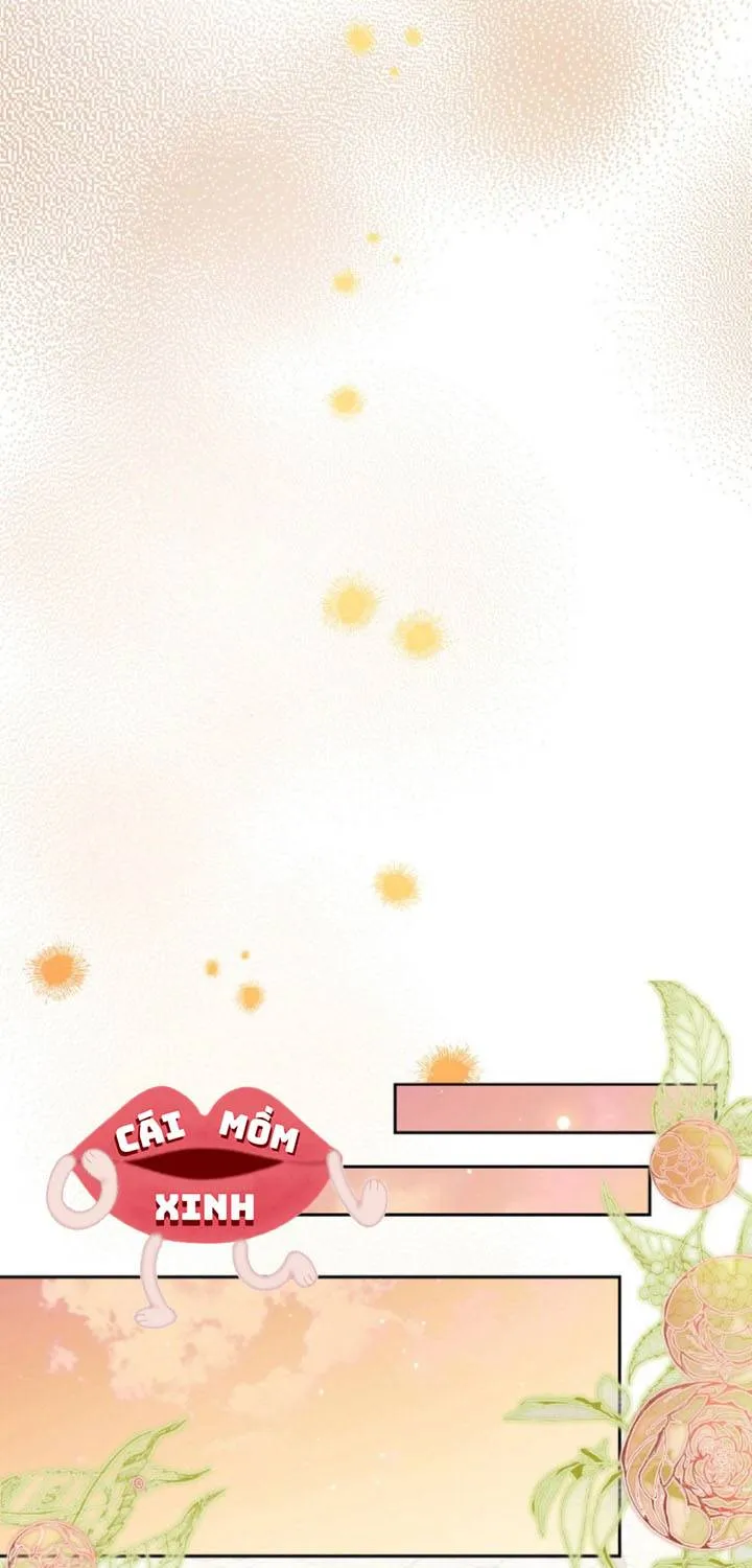 Khi Người Chồng Cũ Của Tôi Đòi Tái Hợp Chap 15 - Next Chap 16