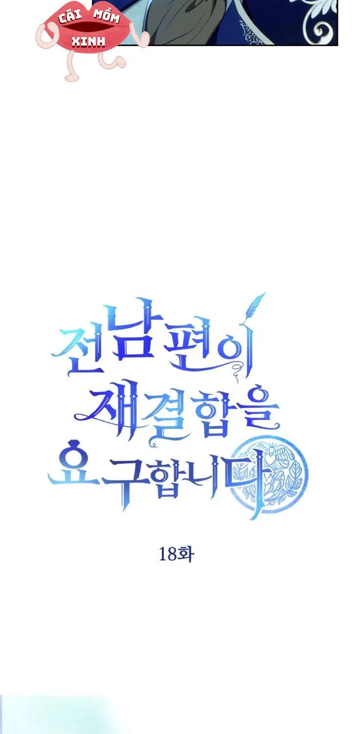 Khi Người Chồng Cũ Của Tôi Đòi Tái Hợp Chap 18 - Next Chap 19