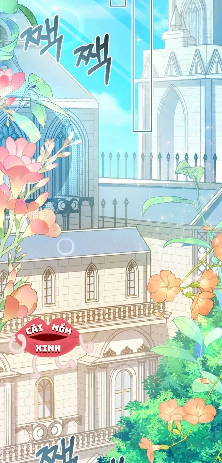 Khi Người Chồng Cũ Của Tôi Đòi Tái Hợp Chap 18 - Next Chap 19