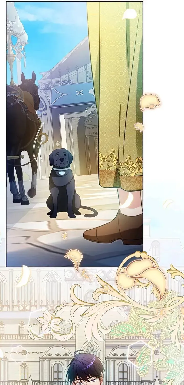 Khi Người Chồng Cũ Của Tôi Đòi Tái Hợp Chap 25 - Next Chap 26