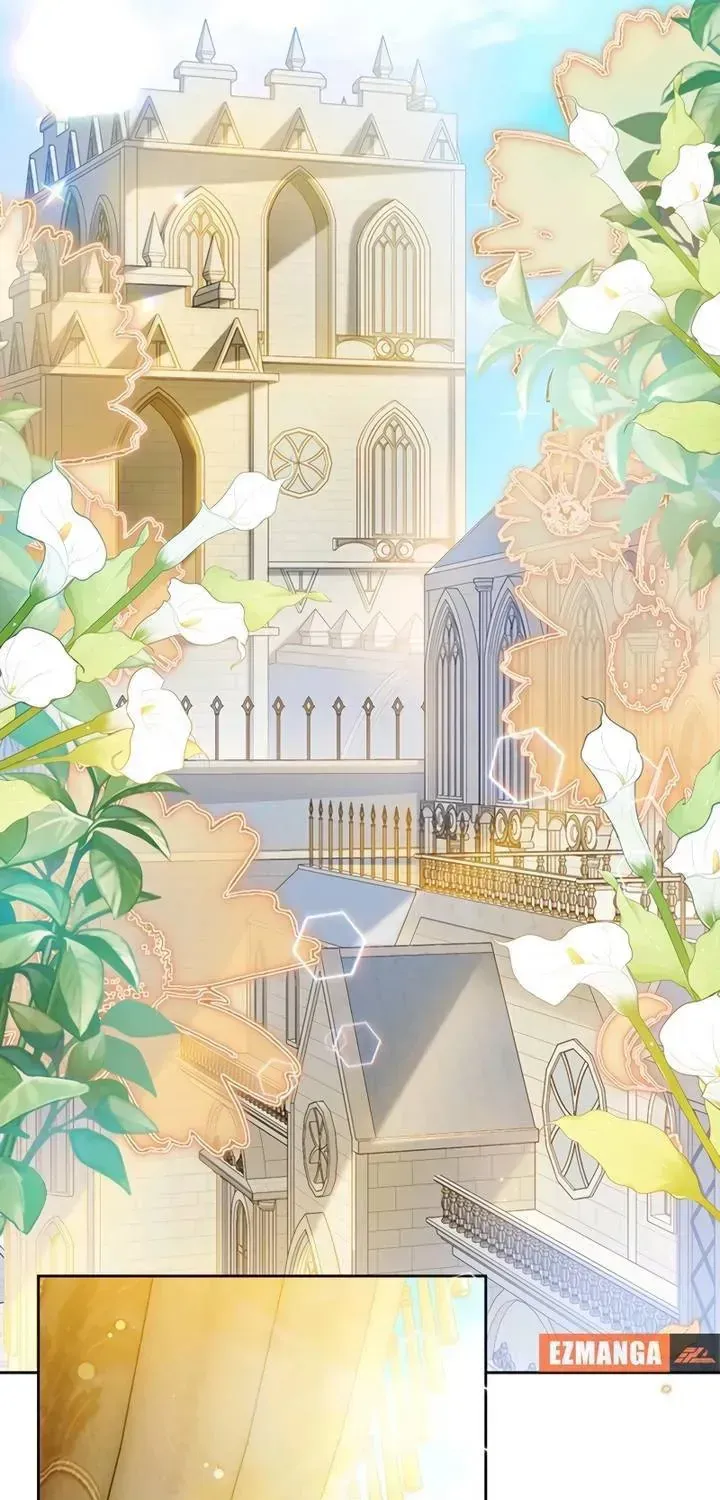 Khi Người Chồng Cũ Của Tôi Đòi Tái Hợp Chap 25 - Next Chap 26