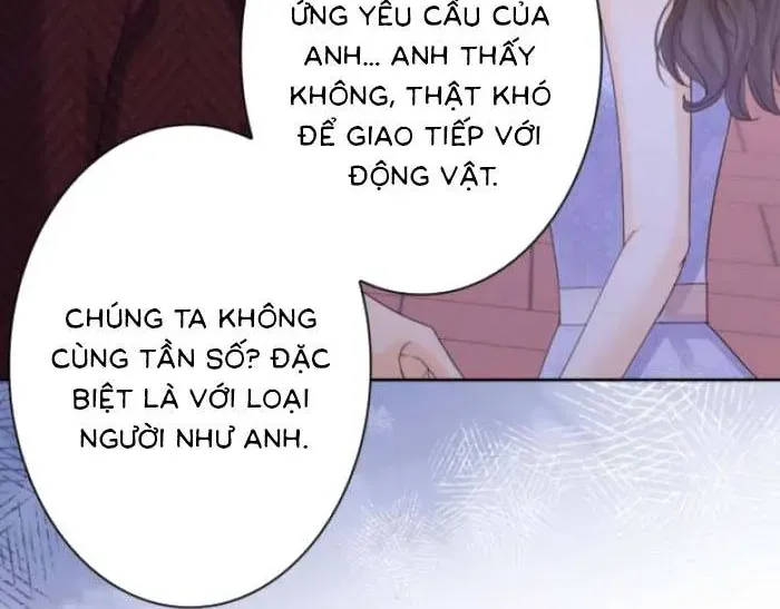 Khi Người Yêu Cũ Si Mê Tôi Chap 20 - Next Chap 21