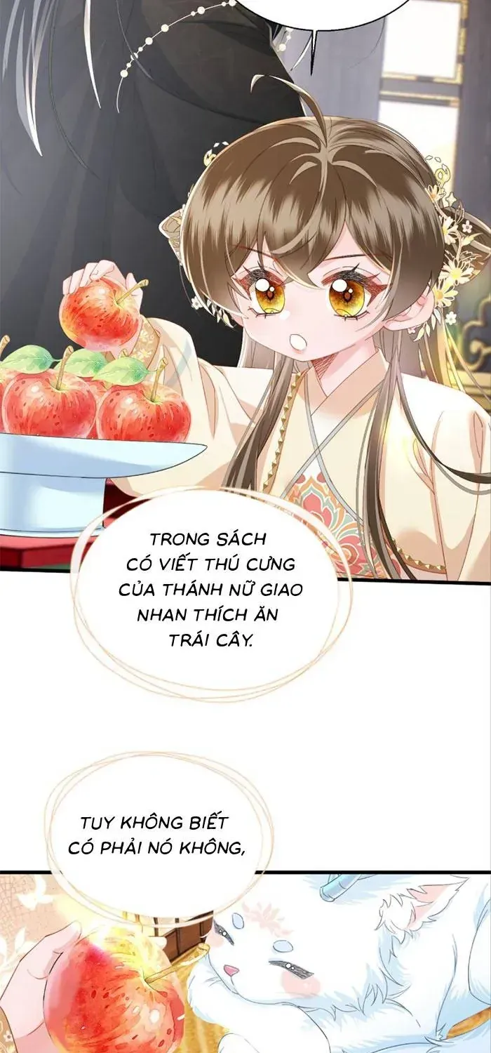 Khi Tôi Trở Thành Cứu Tinh Của Gia Đình Bạo Quân Chap 92 - Next Chap 93