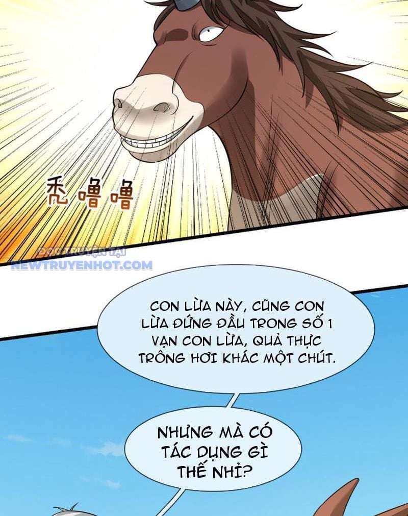 Khởi đầu Bằng Một Vạn Hít đất: Oanh Sát Thần Minh! Chap 25 - Next Chap 26