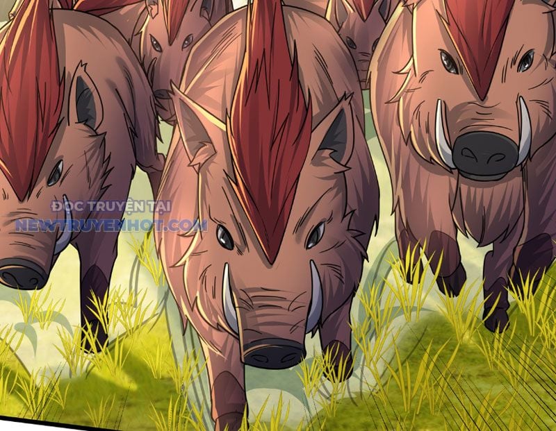 Khởi đầu Bằng Một Vạn Hít đất: Oanh Sát Thần Minh! Chap 4 - Next Chap 5