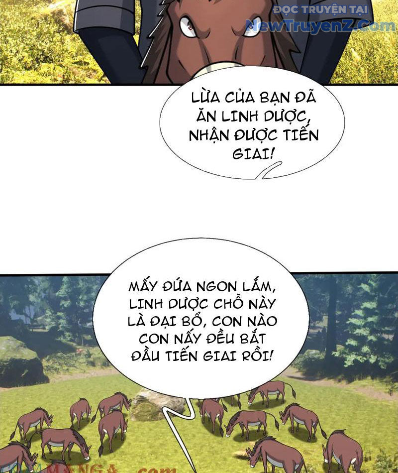 Khởi đầu Bằng Một Vạn Hít đất: Oanh Sát Thần Minh! Chap 49 - Next Chap 50