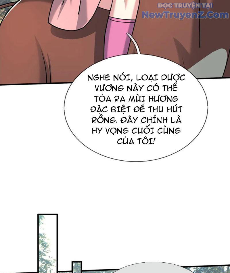 Khởi đầu Bằng Một Vạn Hít đất: Oanh Sát Thần Minh! Chap 49 - Next Chap 50