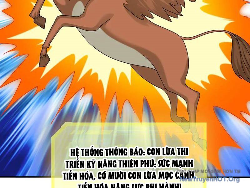 Khởi đầu Bằng Một Vạn Hít đất: Oanh Sát Thần Minh! Chap 65 - Next Chap 66