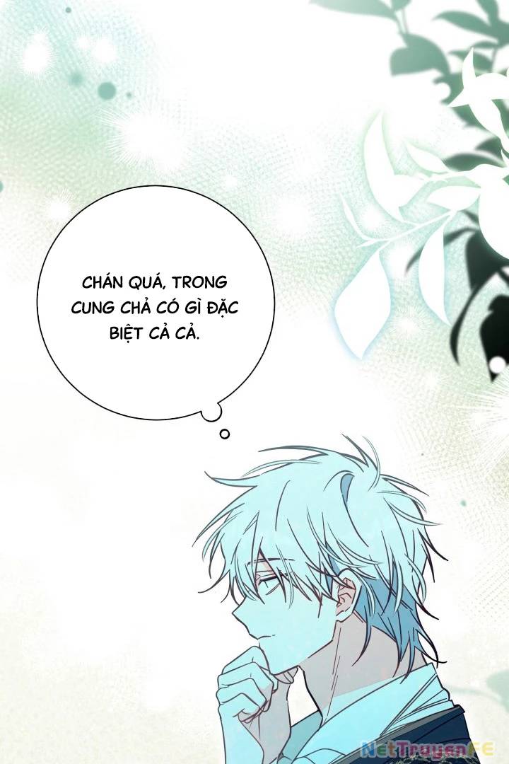 Không Có Nơi Nào Dành Cho Công Chúa Giả Mạo Chap 49 - Next Chap 50