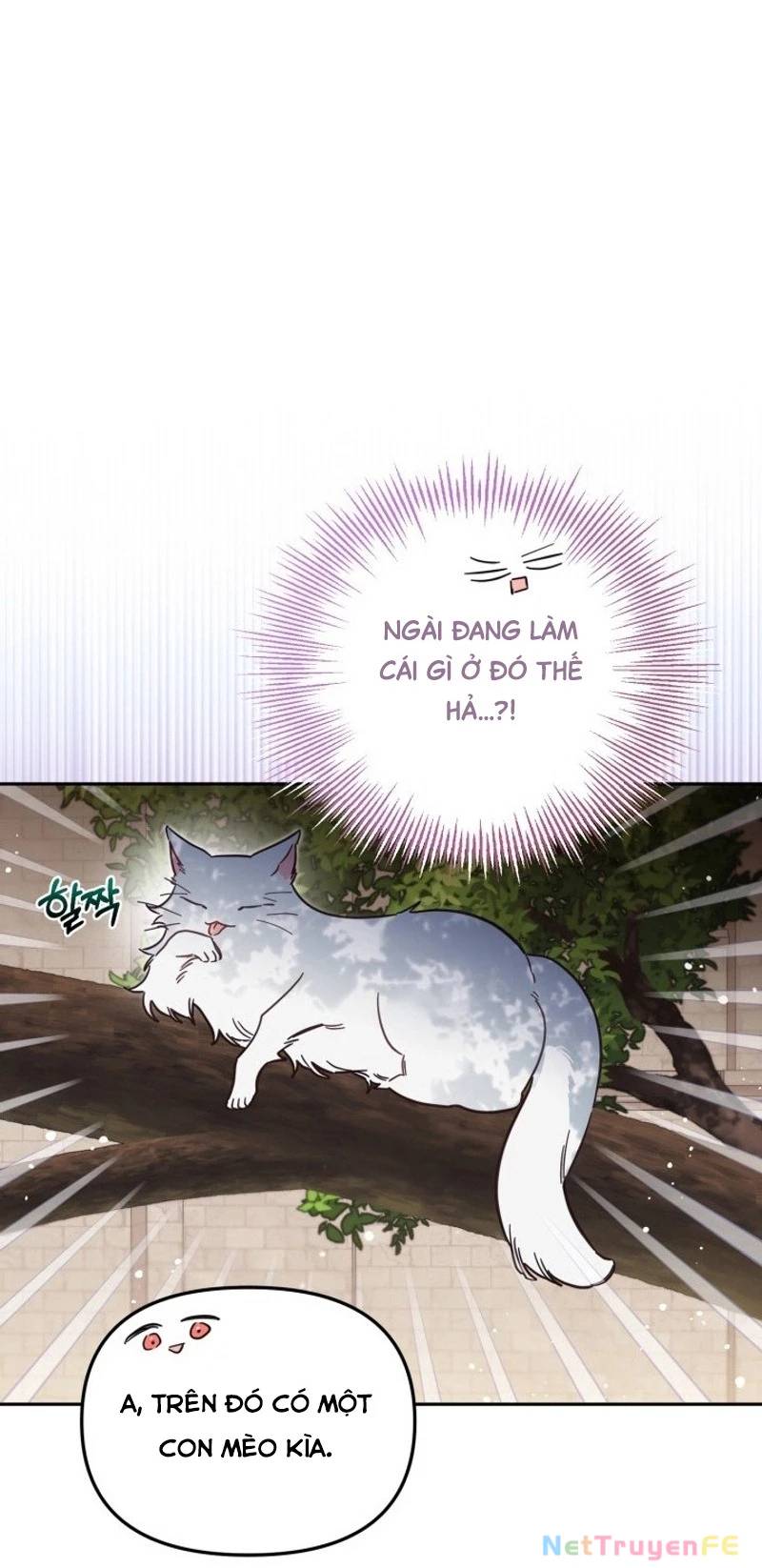 Không Có Nơi Nào Dành Cho Công Chúa Giả Mạo Chap 58 - Next Chap 59