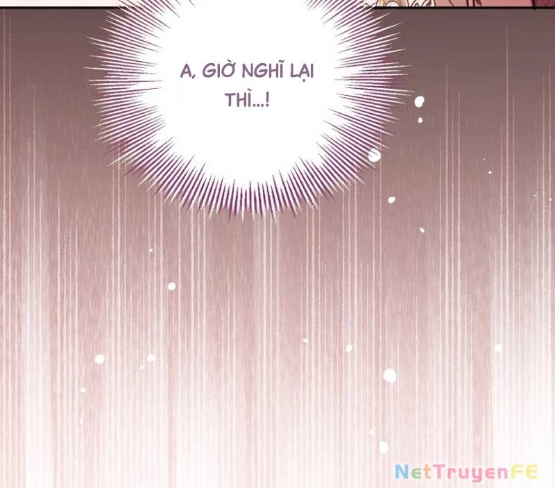 Không Có Nơi Nào Dành Cho Công Chúa Giả Mạo Chap 61 - Next Chap 62