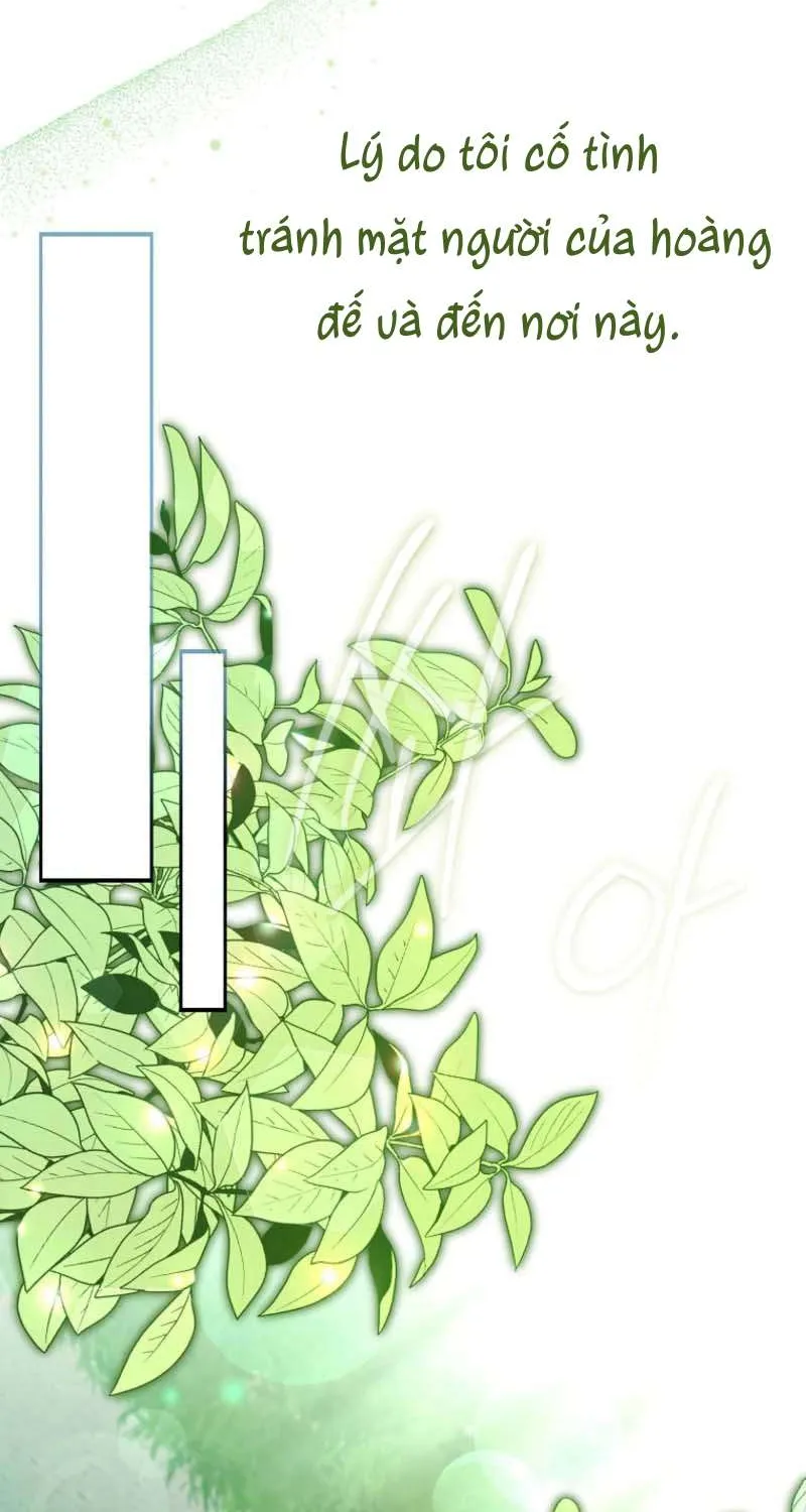 Không Phải Thánh Nữ, Tôi Là Tiên Mà Chap 6 - Next Chap 7