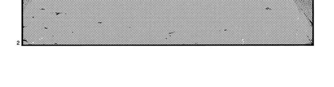 Khúc Nhạc Của Kẻ Dạo Đêm Chap 69 - Next Chap 70