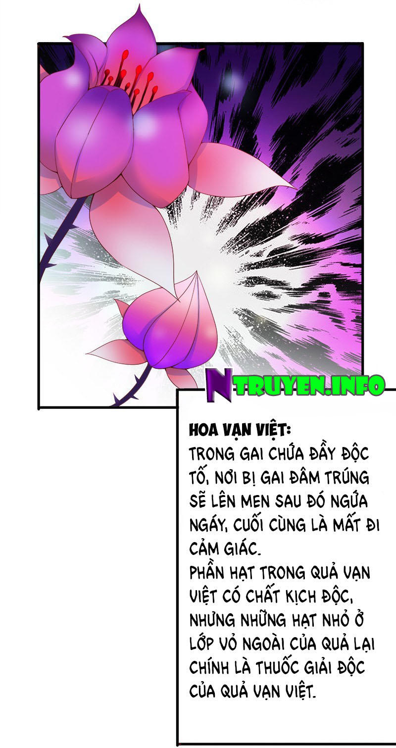 Khuynh Thế Độc Phi Chap 13 - Next Chap 14