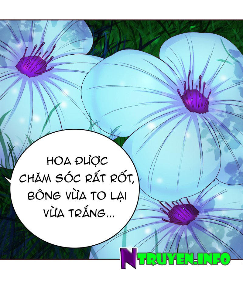 Khuynh Thế Độc Phi Chap 15 - Next Chap 16