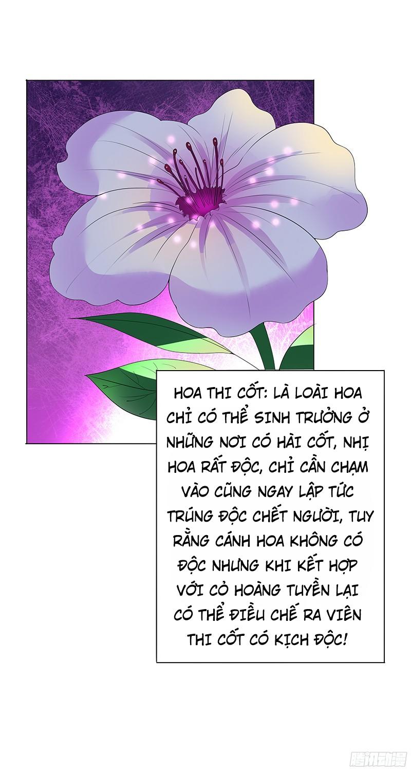 Khuynh Thế Độc Phi Chap 2 - Next Chap 3