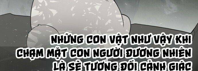 Kĩ Nguyên Của Anh Hùng Chap 70.5 - Next Chap 71.5