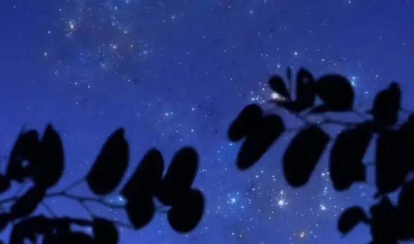 Kiếm Sĩ Hắc Ám Tái Xuất Chap 4 - Next Chap 5