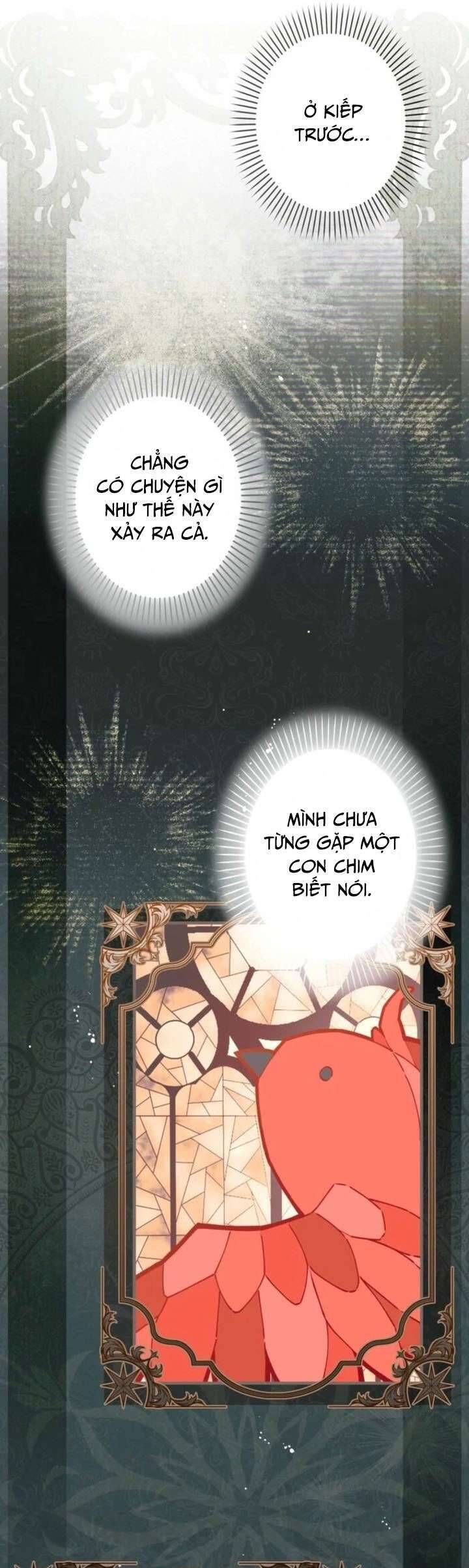 Kiếp Này Em Sẽ Không Sống Dưới Cái Bóng Của Người Chị Song Sinh Chap 11 - Next Chap 12