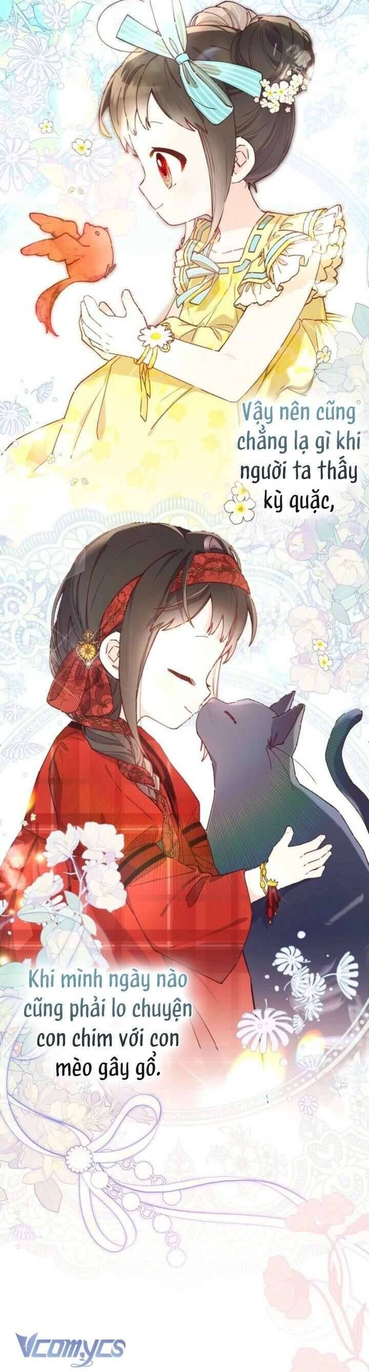 Kiếp Này Em Sẽ Không Sống Dưới Cái Bóng Của Người Chị Song Sinh Chap 11 - Next Chap 12