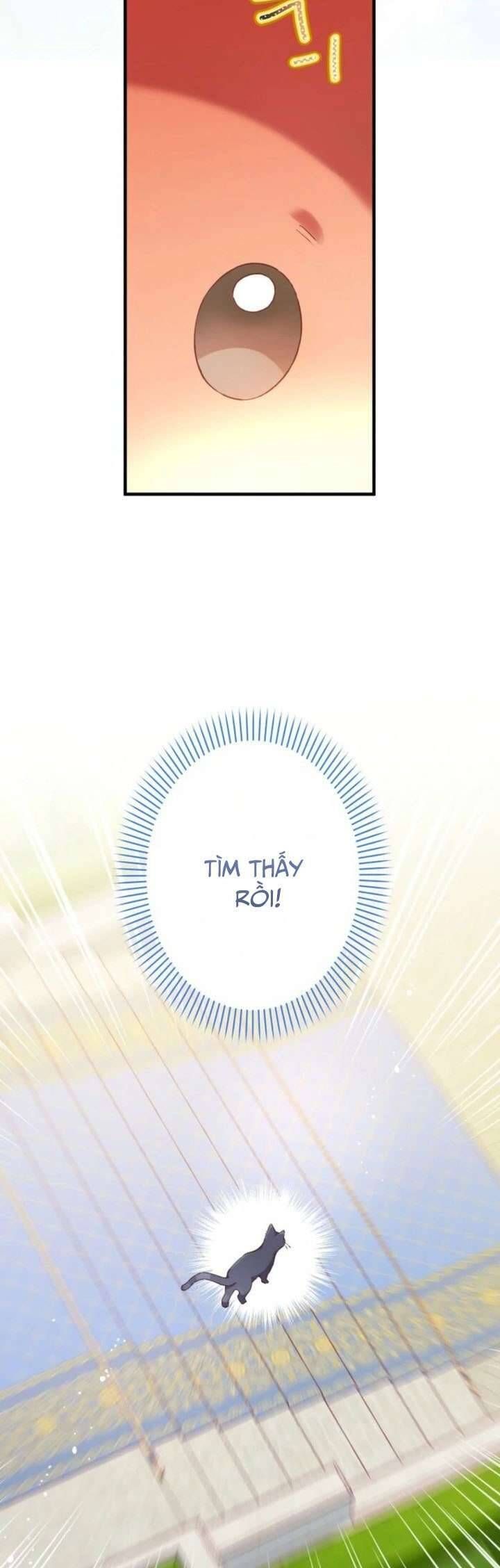 Kiếp Này Em Sẽ Không Sống Dưới Cái Bóng Của Người Chị Song Sinh Chap 12 - Next Chap 13