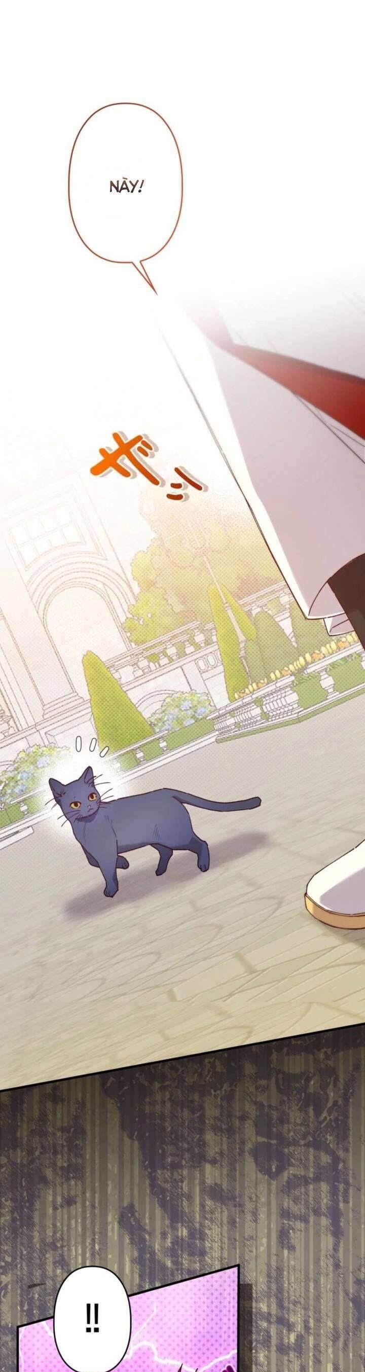 Kiếp Này Em Sẽ Không Sống Dưới Cái Bóng Của Người Chị Song Sinh Chap 13 - Next Chap 14