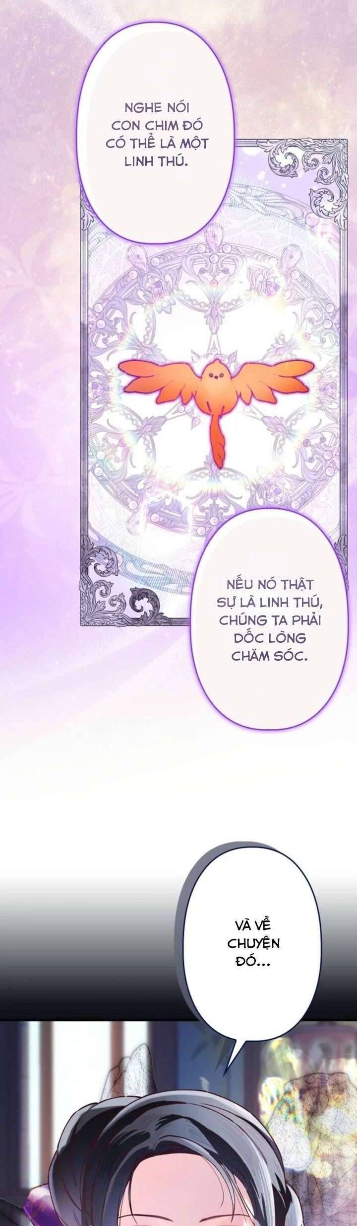 Kiếp Này Em Sẽ Không Sống Dưới Cái Bóng Của Người Chị Song Sinh Chap 13 - Next Chap 14