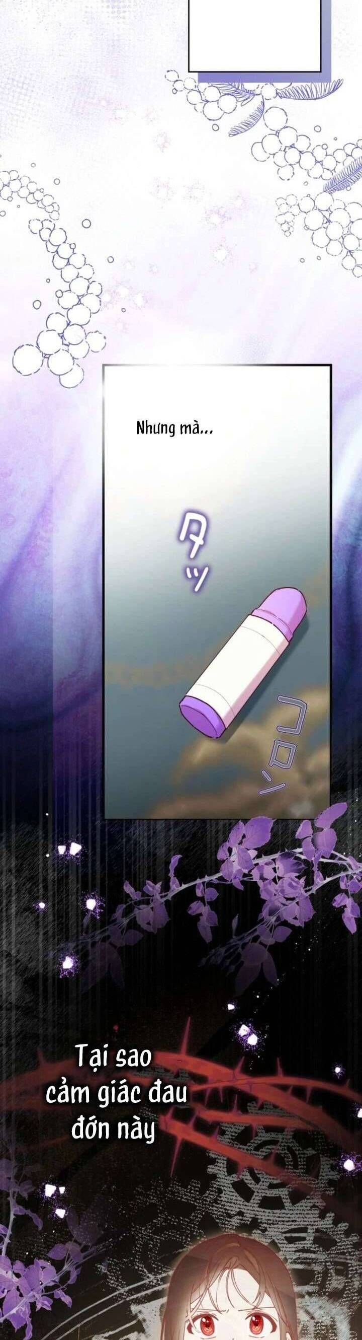 Kiếp Này Em Sẽ Không Sống Dưới Cái Bóng Của Người Chị Song Sinh Chap 4 - Next Chap 5