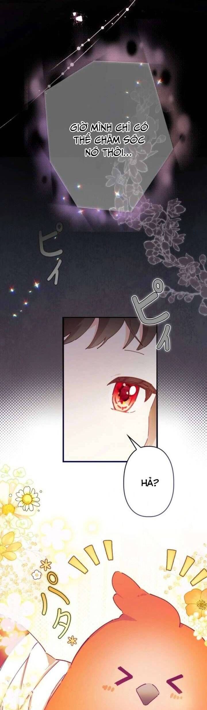 Kiếp Này Em Sẽ Không Sống Dưới Cái Bóng Của Người Chị Song Sinh Chap 6 - Next Chap 7