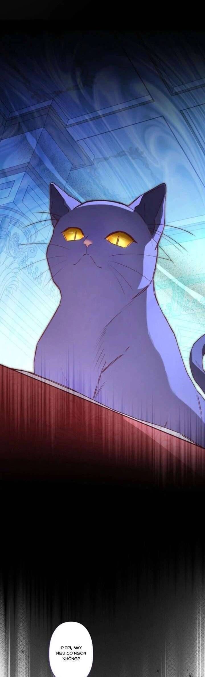 Kiếp Này Em Sẽ Không Sống Dưới Cái Bóng Của Người Chị Song Sinh Chap 7 - Next Chap 8