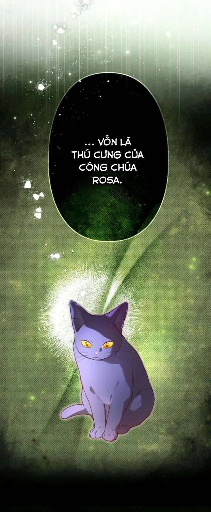 Kiếp Này Em Sẽ Không Sống Dưới Cái Bóng Của Người Chị Song Sinh Chap 8 - Next Chap 9