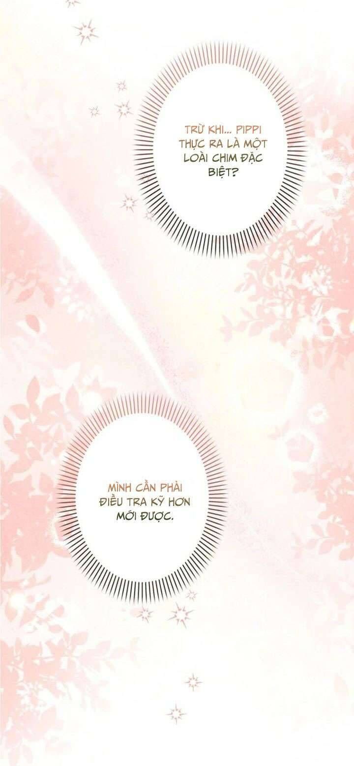 Kiếp Này Em Sẽ Không Sống Dưới Cái Bóng Của Người Chị Song Sinh Chap 8 - Next Chap 9