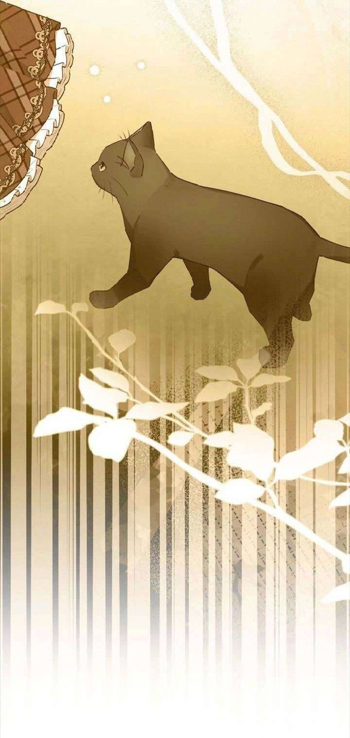 Kiếp Này Em Sẽ Không Sống Dưới Cái Bóng Của Người Chị Song Sinh Chap 9 - Next Chap 10