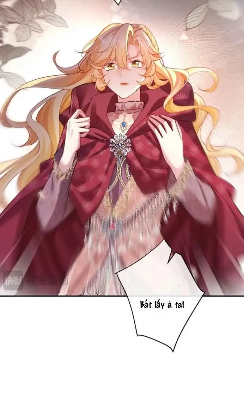 Kiếp Này, Ta Bỏ Vai Nữ Hoàng Phản Diện Chap 40 - Next Chap 41