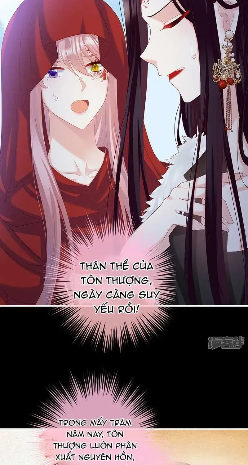 Kiều Phu Có Hỉ Chap 133 - Next Chap 134