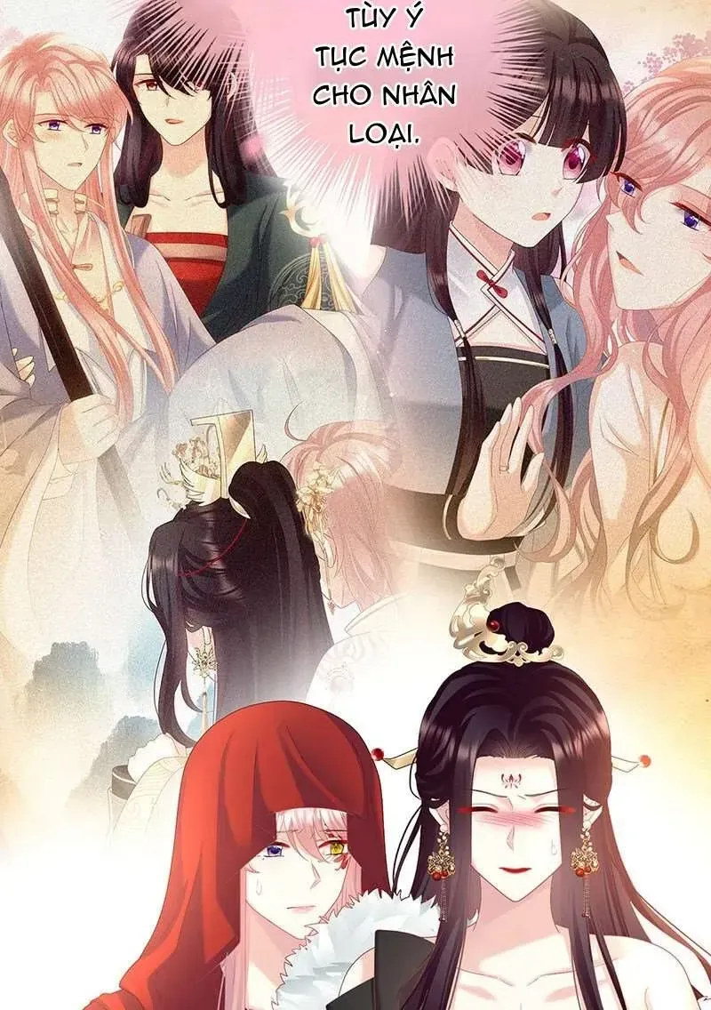 Kiều Phu Có Hỉ Chap 133 - Next Chap 134